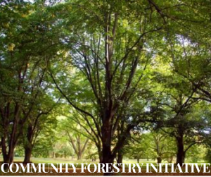 Community Forestry Initiative