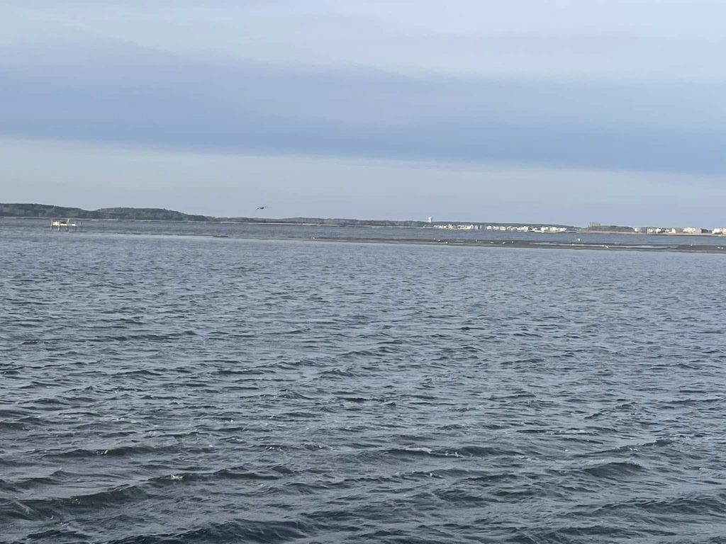 bay